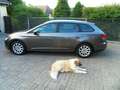 SEAT Leon Style-Shz.-Alu-GRA-Sh.-19%MwsT-2Zo.Klima116.000 KM Gris - thumbnail 12