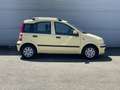 Fiat Panda 1.2 Edizione Cool | AIRCO | Elek. Ramen Geel - thumbnail 3