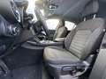 Alfa Romeo Stelvio 2.2 td Business Q4 190cv AT8 autom navi Blu/Azzurro - thumbnail 11