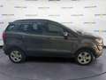 Ford EcoSport 1.0 EcoBoost 100 CV Business Grijs - thumbnail 9
