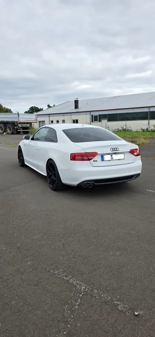 Audi A5 2.0 TDI DPF - 2