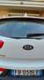 Kia Sportage Sportage III 2015 2.0 crdi  Rebel Awd 184cv auto Bianco - thumbnail 7