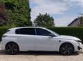 Peugeot 308 308 Plug-In Hybrid 180 e-EAT8 GT Blanc - thumbnail 6