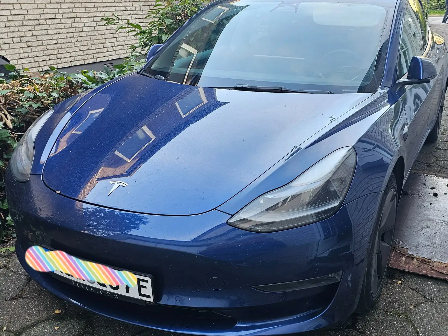 Tesla Model 3 Model 3 Langstreckenbatt. Allradantrieb Dual Motor Blau - 1