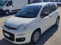 Fiat New Panda VAN 1.3 M-JET 4 POSTI EASY - 2018 Wit - thumbnail 7