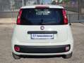 Fiat New Panda VAN 1.3 M-JET 4 POSTI EASY - 2018 Wit - thumbnail 4