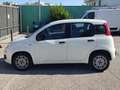 Fiat New Panda VAN 1.3 M-JET 4 POSTI EASY - 2018 Wit - thumbnail 6