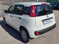 Fiat New Panda VAN 1.3 M-JET 4 POSTI EASY - 2018 Wit - thumbnail 5