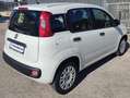 Fiat New Panda VAN 1.3 M-JET 4 POSTI EASY - 2018 Wit - thumbnail 3
