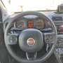 Fiat New Panda VAN 1.3 M-JET 4 POSTI EASY - 2018 Wit - thumbnail 12