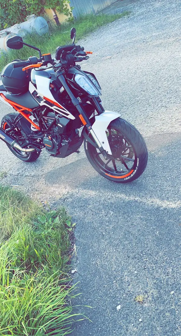 KTM 125 Duke White - 1