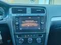 Volkswagen Golf 1.6 tdi Trendline 90cv neopat. cinghia sostituita Grigio - thumbnail 13