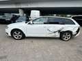 Audi A6 3.0TDI quattro/Tiptr/Bose/Leder/Xenon/NaviMMI Wit - thumbnail 6