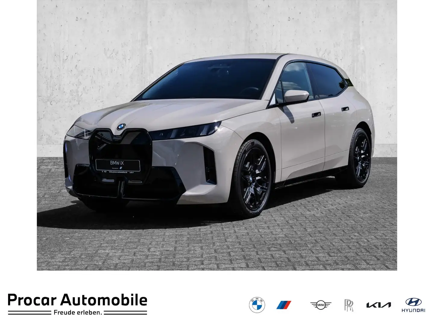 BMW iX xDrive45 MSport HuD AHK H/K DA Prof PA Prof Grijs - 1