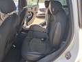 MINI Cooper S Countryman*Allrad*Automatik*Leder* Weiß - thumbnail 13
