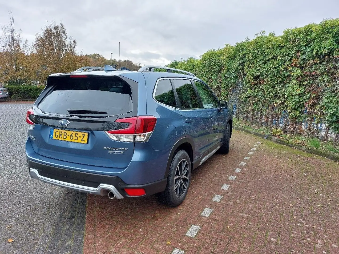 Subaru Forester Forester 2.0i e-BOXER Premium Niebieski - 2