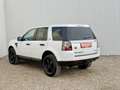 Land Rover Freelander 2,2 SD4 S DPF Aut. S ARBÖ Pickerl 04.2027 Weiß - thumbnail 4
