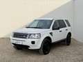 Land Rover Freelander 2,2 SD4 S DPF Aut. S ARBÖ Pickerl 04.2027 Weiß - thumbnail 3