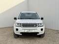 Land Rover Freelander 2,2 SD4 S DPF Aut. S ARBÖ Pickerl 04.2027 Weiß - thumbnail 2