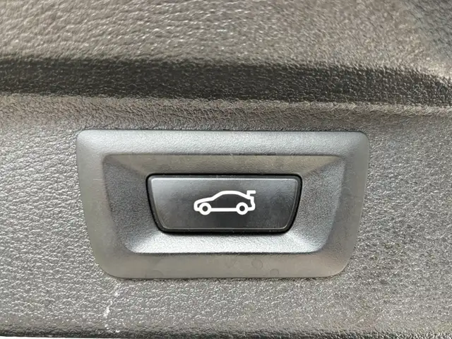 BMW X5 view 10