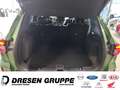 Ford Kuga Active X PHEV LED-Matrix Licht/Navi/Head-Up/elktr. Grün - thumbnail 12