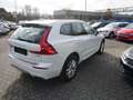 Volvo XC60 D4 Momentum AWD Geartronic *LED+LEDER+NAVI* Weiß - thumbnail 4