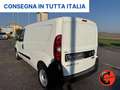 Fiat Doblo 1.3 MJT(PL-TN-L2H1)CARGO MAXI PASSO LUNGO-E6D- Blanc - thumbnail 5