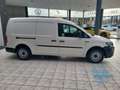 Volkswagen Caddy Nfz Maxi Kasten AHK SHZ PDC Klima Weiß - thumbnail 4