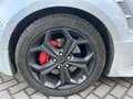 Ford S-Max 2.0 EcoBoost S Edition | XENON | PANO DAK | LEER | Weiß - thumbnail 10