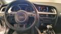 Audi A4 A4 Avant 2.0TDI Business 150cv AUTOMATICO Euro6 Argento - thumbnail 13