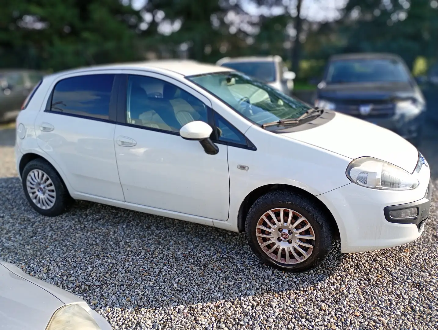 Fiat Punto Evo Punto III 2009 Evo 5p 1.3 mjt Dynamic s Bianco - 2