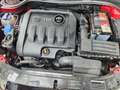 Skoda Octavia Octavia Combi 1,9 TDI PD 4x4 Allrad!!! Rot - thumbnail 10