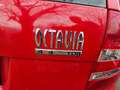 Skoda Octavia Octavia Combi 1,9 TDI PD 4x4 Allrad!!! Rot - thumbnail 15