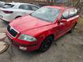 Skoda Octavia Octavia Combi 1,9 TDI PD 4x4 Allrad!!! Rot - thumbnail 19