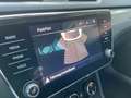 Skoda Superb 4x4 Ambition TDI DSG Gri - thumbnail 18
