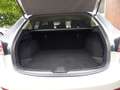 Mazda 6 2.2 Exclusive-Line Autom.,Tempom.,Navi,Sitzh. Grau - thumbnail 19