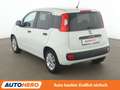 Fiat Panda 1.2 More *PDC*ALU*KLIMA* Alb - thumbnail 4