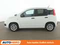 Fiat Panda 1.2 More *PDC*ALU*KLIMA* Alb - thumbnail 3