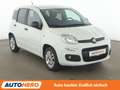 Fiat Panda 1.2 More *PDC*ALU*KLIMA* Alb - thumbnail 8