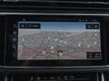 Audi RS Q8 RSQ8 TFSI Q BLACK-OPTIK 305km/h KERAMIK ST.HEIZ Grau - thumbnail 13