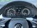 Skoda Kamiq 1.0 TSI 115pk Sport Business I Camera I PDC I Carp Noir - thumbnail 21