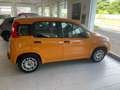 Fiat Panda 1.0 hybrid Easy s&s 70cv NESSUN VINCOLO Naranja - thumbnail 3