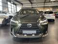 Lexus NX 450h+ 450 h+ E-Four Executive Line Grün - thumbnail 2