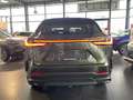 Lexus NX 450h+ 450 h+ E-Four Executive Line Grün - thumbnail 7