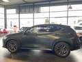 Lexus NX 450h+ 450 h+ E-Four Executive Line Grün - thumbnail 3