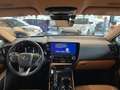 Lexus NX 450h+ 450 h+ E-Four Executive Line Grün - thumbnail 10