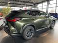 Lexus NX 450h+ 450 h+ E-Four Executive Line Grün - thumbnail 4