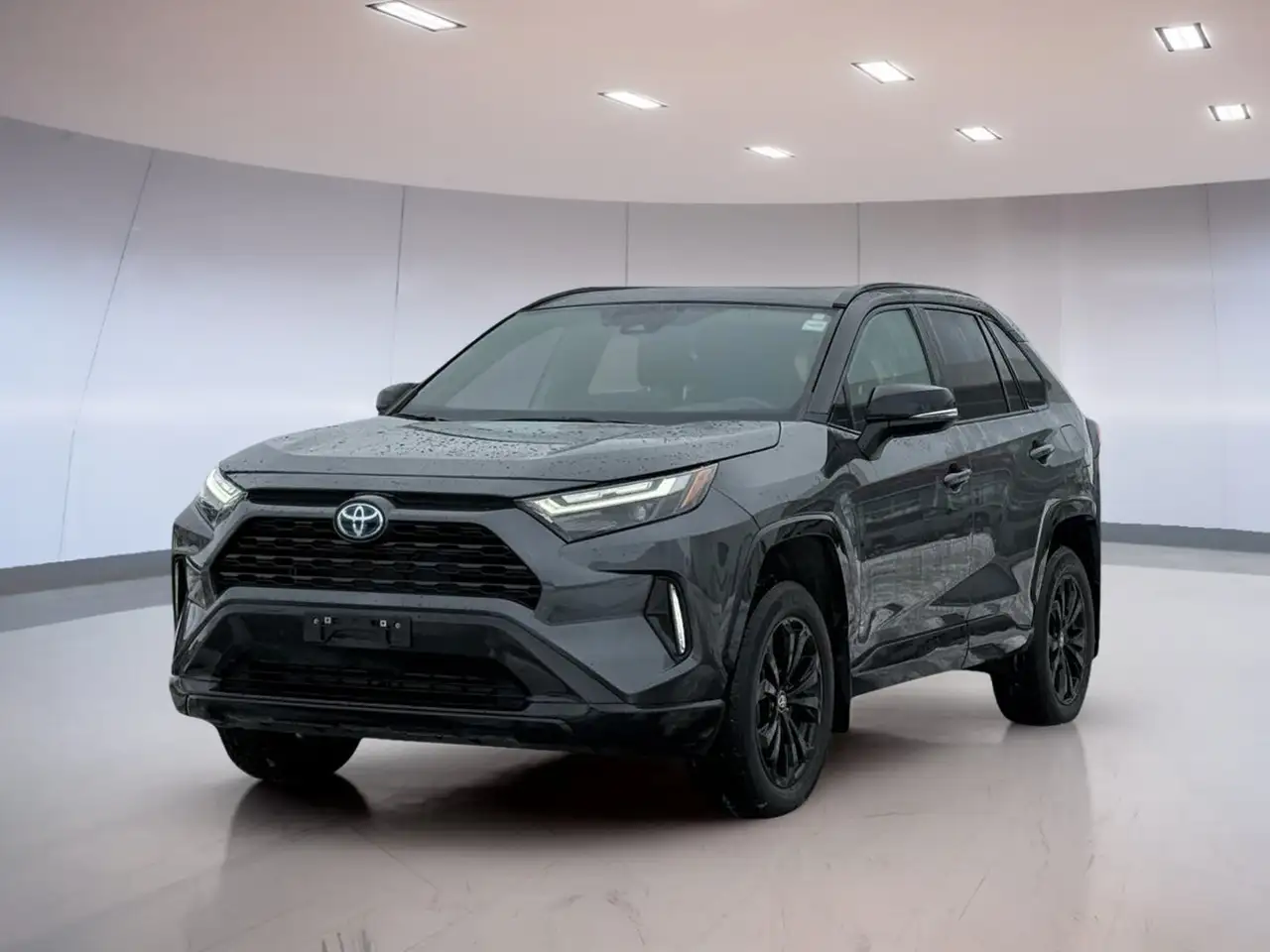 2024 Toyota RAV 4