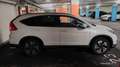 Honda CR-V CR-V 1,6i-DTEC Executive 4WD Executive Weiß - thumbnail 6