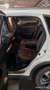 Honda CR-V CR-V 1,6i-DTEC Executive 4WD Executive Weiß - thumbnail 8